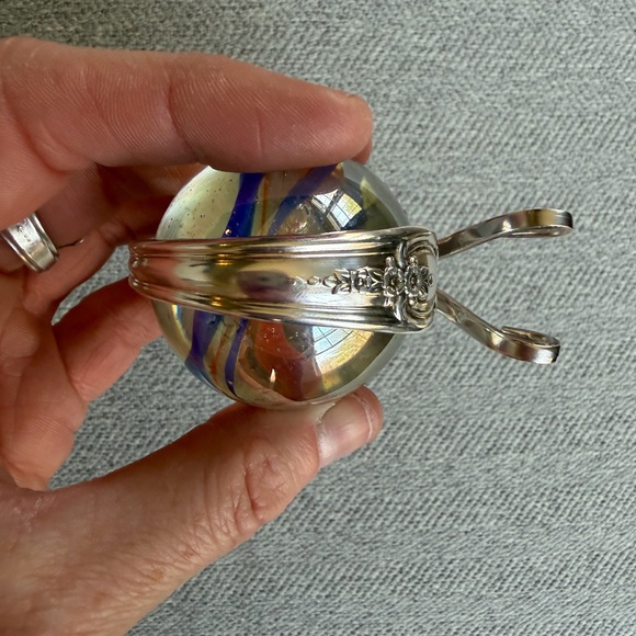 Marble Fork Snail - Picture 7 of 9